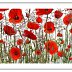 Kunsthaus Ratingen – Fotografie Preview: Andreas Lutherer – Mohn, 50x120cm, 2 Lagen, Edition